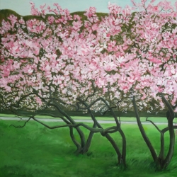 Frühling